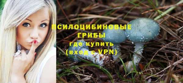 соль ск Бронницы